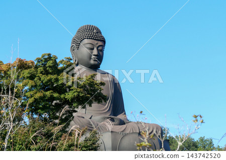 東京,秋天,日之出町,鹿野大佛 東京,秋天,日之出町,鹿野大佛 143742520