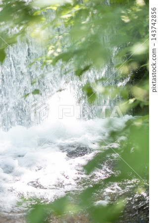 森林的新綠、清澈的溪流和生態景觀(大山木澤溪流) 森林的新綠、清澈的溪流和生態景觀(大山木澤溪流) 143742856