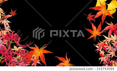 Autumn frame with maple leaves and spider lilies Autumn frame with maple leaves and spider lilies 143743094