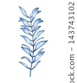 Hand drawn blue algae. Watercolor illustration 143743102
