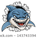 Shark Cartoon Sports Team Sharks Mascot Design 143743394
