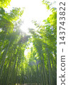 Fresh green bamboo grove Fresh green bamboo grove 143743822