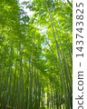 Fresh green bamboo grove Fresh green bamboo grove 143743825