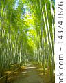 Fresh green bamboo grove Fresh green bamboo grove 143743826