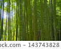Fresh green bamboo grove Fresh green bamboo grove 143743828