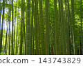 Fresh green bamboo grove Fresh green bamboo grove 143743829