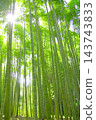Fresh green bamboo grove Fresh green bamboo grove 143743833