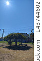 Park scenery with blue sky and shady trees 143744602