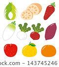Winter vegetable and fruit illustration set: seasonal ingredient icons 143745246