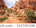 Fiery Furnace Landscape with Rocky Trail Path 143745396