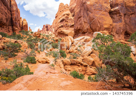 Fiery Furnace Landscape with Rocky Trail Path Fiery Furnace Landscape with Rocky Trail Path 143745396