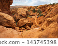 Scenic Fiery Furnace Terrain Rocks and Vegetation 143745398