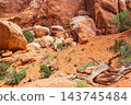 Scenic Fiery Furnace Terrain Rocks and Vegetation 143745484