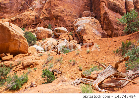 Scenic Fiery Furnace Terrain Rocks and Vegetation Scenic Fiery Furnace Terrain Rocks and Vegetation 143745484