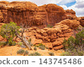 Scenic Fiery Furnace Terrain Rocks and Vegetation 143745486