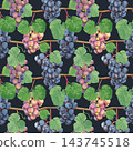 Hand drawn seamless pattern with black grapes and leaves. Watercolor illustration. 143745518