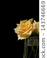 A bouquet of yellow roses stands out against a jet-black background, vertical copy space. 143746669