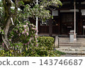 惠信院：仙女座花與正殿 143746687