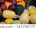 Autumn Harvest Still Life with Pumpkins, Apples and Squash. Rural market stand with fresh vegetables and fruits. Healthy food background. Pumpkin, apples, cabbage and squash in basket. October harvest 143746775