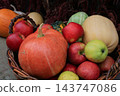 Autumn Harvest Still Life with Pumpkins, Apples and Squash. Rural market stand with fresh vegetables and fruits. Healthy food background. Pumpkin, apples, cabbage and squash in basket. October harvest 143747086