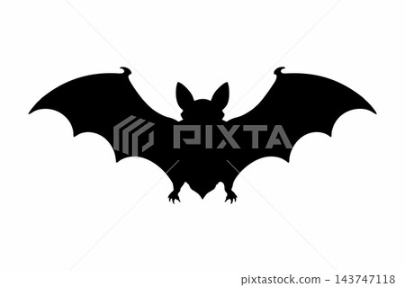Symmetrical Black Bat Silhouette Isolated on White Background Symmetrical Black Bat Silhouette Isolated on White Background 143747118