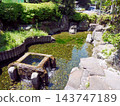熊本縣玉名郡俊上公園內的泉水池塘 143747189