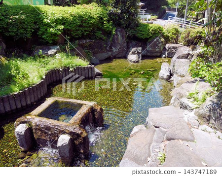 熊本縣玉名郡俊上公園內的泉水池塘 熊本縣玉名郡俊上公園內的泉水池塘 143747189