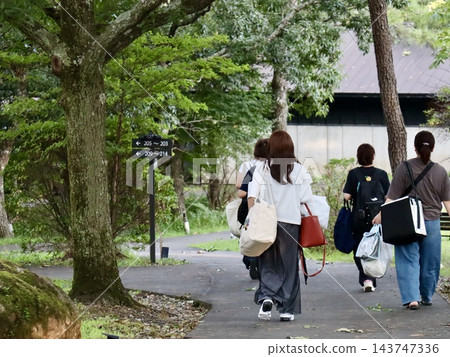 旅行者的背影，他們拖著行李走向他們的小屋 | 用於吸引顧客前往露營地、旅遊特色和促銷活動。 143747336