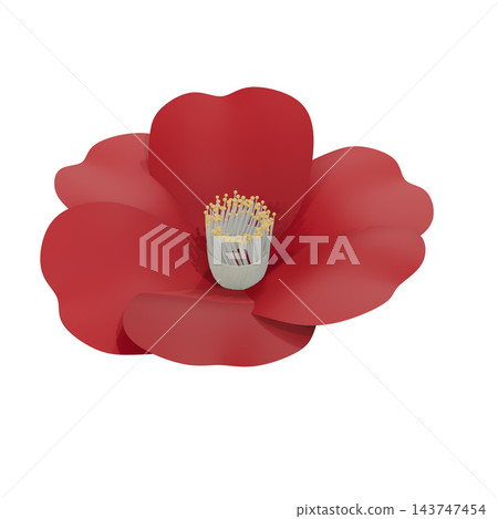 白色背景上的紅色山茶花3D插圖 白色背景上的紅色山茶花3D插圖 143747454