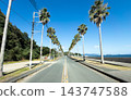 Nishiura Seaside Road (Gamafornia), Gamagori City, Aichi Prefecture 143747588