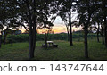 A crescent moon and a sky tinged with the colors of the sunset, a rural landscape. 143747644