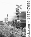 一個鬧鬼的鐵路道口，連火車都會消失。 143747659