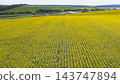 farm field, agriculture, view from above 143747894