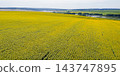 farm field, agriculture, view from above 143747895