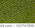 farm field, agriculture, view from above 143747896