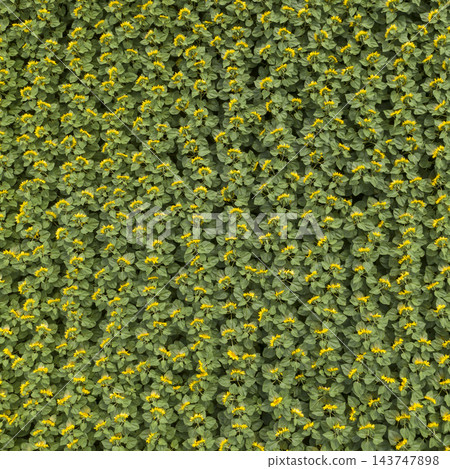 farm field, agriculture, view from above farm field, agriculture, view from above 143747898
