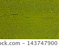 farm field, agriculture, view from above 143747900