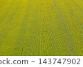 farm field, agriculture, view from above 143747902