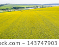 farm field, agriculture, view from above 143747903