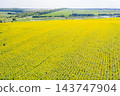 farm field, agriculture, view from above 143747904