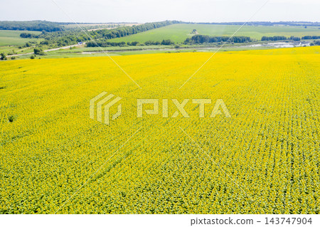 farm field, agriculture, view from above farm field, agriculture, view from above 143747904