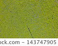farm field, agriculture, view from above 143747905