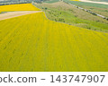 farm field, agriculture, view from above 143747907