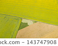 farm field, agriculture, view from above 143747908
