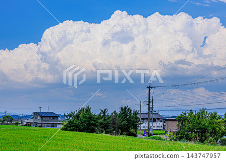 一幅美麗的夏日鄉村景色,湛藍的天空和雄偉的積雨雲交相輝映。 一幅美麗的夏日鄉村景色,湛藍的天空和雄偉的積雨雲交相輝映。 143747957