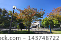 A beautiful residential street scene with a blue sky and colorful street trees. 143748722