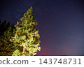夜晚的星空和針葉樹 143748731