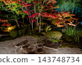 秋葉和岩石花園在夜色中閃閃發光 143748734