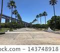 A walking path surrounded by palm trees 143748918