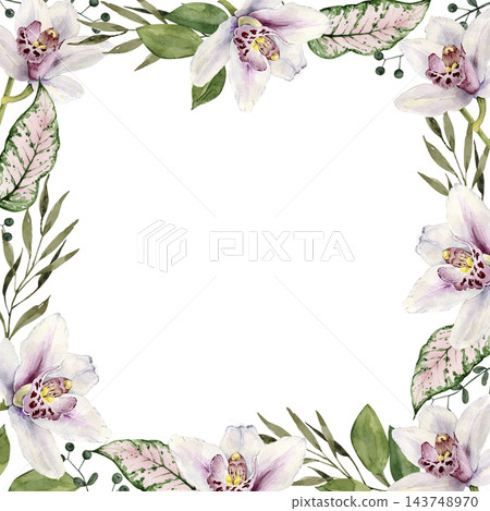 Watercolor frame with white orchid flowers and green leaves Watercolor frame with white orchid flowers and green leaves 143748970